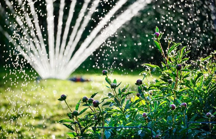 Irrigation